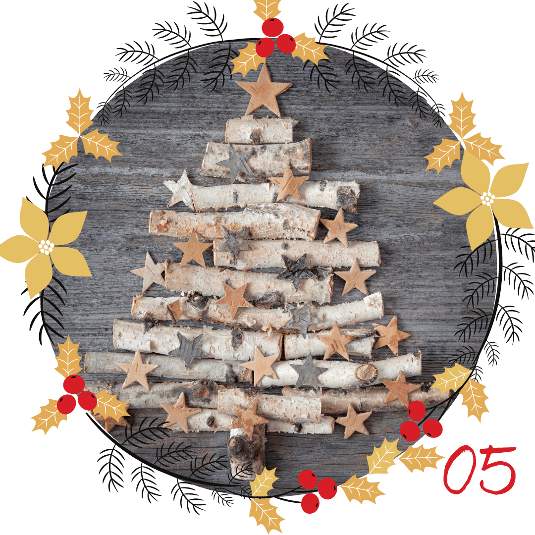 Quel sapin de Noël est le plus écologique ?